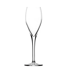Degrenne Anytime Transparent Best