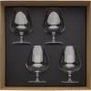 Degrenne Anytime Transparent Best