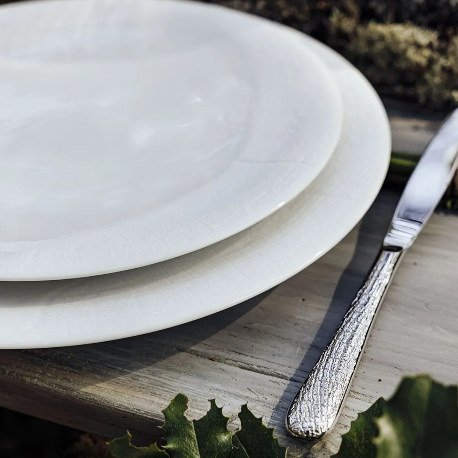 Degrenne Supernature Discount